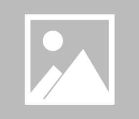 JJB jjb Jingjibao 竞技宝 电竞赛事 体育赛事 体育 电竞-【法甲】朗斯vs雷恩伤病名单最新(2025年03月16日)
